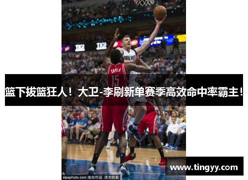 篮下拔篮狂人!大卫-李刷新单赛季高效命中率霸主!